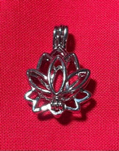 Load image into Gallery viewer, Cages