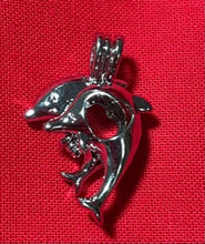 Load image into Gallery viewer, Cages