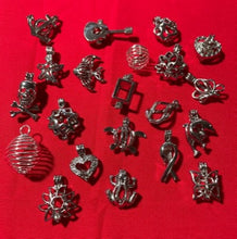 Load image into Gallery viewer, Cages