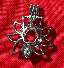 Load image into Gallery viewer, Cages