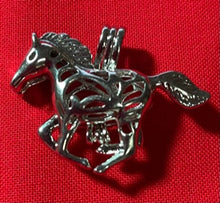 Load image into Gallery viewer, Cages