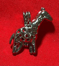 Load image into Gallery viewer, Cages