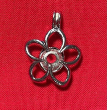 Load image into Gallery viewer, Cages