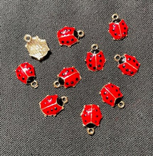 Load image into Gallery viewer, Ladybug Charm
